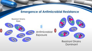 Resistant Strains
Rare
Resistant Strains
Dominant
Antimicrobial
Exposure
Emergence of Antimicrobial Resistance
 