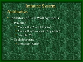 Immune System Antibiotics Inhibitors of Cell Wall Synthesis Penicillin Amoxicillin (Amoxil/Trimox) Amoxicillin-Clavulanate (Augmentin) Penicillin VK Cephalosporins Cephalexin (Keflex) 