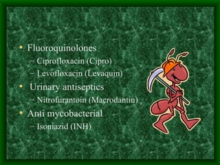 Fluoroquinolones Ciprofloxacin (Cipro) Levofloxacin (Levaquin) Urinary antiseptics Nitrofurantoin (Macrodantin) Anti mycobacterial Isoniazid (INH) 