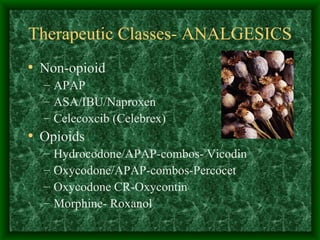 Therapeutic Classes- ANALGESICS Non-opioid APAP ASA/IBU/Naproxen Celecoxcib (Celebrex) Opioids Hydrocodone/APAP-combos- Vicodin Oxycodone/APAP-combos-Percocet Oxycodone CR-Oxycontin Morphine- Roxanol 