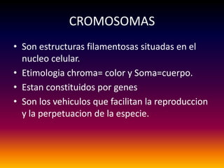 CROMOSOMAS
• Son estructuras filamentosas situadas en el
  nucleo celular.
• Etimologia chroma= color y Soma=cuerpo.
• Estan constituidos por genes
• Son los vehiculos que facilitan la reproduccion
  y la perpetuacion de la especie.
 