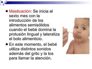 <ul><li>Masticación : Se inicia al sexto mes con la introducción de los alimentos semisólidos cuando el bebé domina la pro...