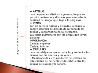C
L
A
S
I
F
I
C
A
C
I
Ó
N
 ARTERIAS:
son de paredes elásticas y gruesas, lo que les
permite contraerse y dilatarse para controlar la
cantidad de sangre que llega a los órganos.
 VENAS:
son de paredes rígidos y delgados, recogen la
sangre saturada de dióxido de carbono de las
células y La transporta hacia el corazón.
Las venas pulmonares son las únicas que llevan
oxigeno.
IMPORTANCIA
Cavidad superior
Cavidad inferior
 CAPILARES:
son mas delgados que un cabello, y comunica las
células con las arterias y las venas,
- Membrana de estos conductos se realizan en
intercambio de nutrientes y desechos entre las
células del cuerpo y la sangre.
 