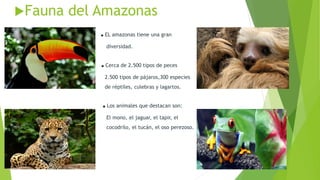 Fauna del Amazonas
.EL amazonas tiene una gran
diversidad.
. .Cerca de 2.500 tipos de peces
2.500 tipos de pájaros,300 especies
de réptiles, culebras y lagartos.
.Los animales que destacan son:
El mono, el jaguar, el tapir, el
cocodrilo, el tucán, el oso perezoso.
 