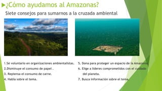 ¿Cómo ayudamos al Amazonas?
Siete consejos para sumarnos a la cruzada ambiental
1.Sé voluntario en organizaciones ambientalistas. 5. Dona para proteger un espacio de la Amazonía.
2.Disminuye el consumo de papel . 6. Elige a líderes comprometidos con el cuidado
3. Repiensa el consumo de carne. del planeta.
4. Habla sobre el tema. 7. Busca información sobre el tema.
 