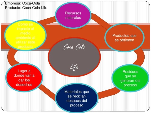 ciclo de vida