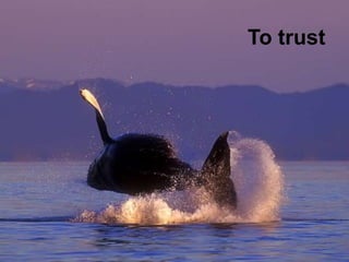 To trust
 