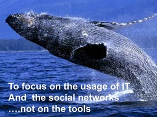 To focus on the usage of IT
And the social networks
….not on the tools
 