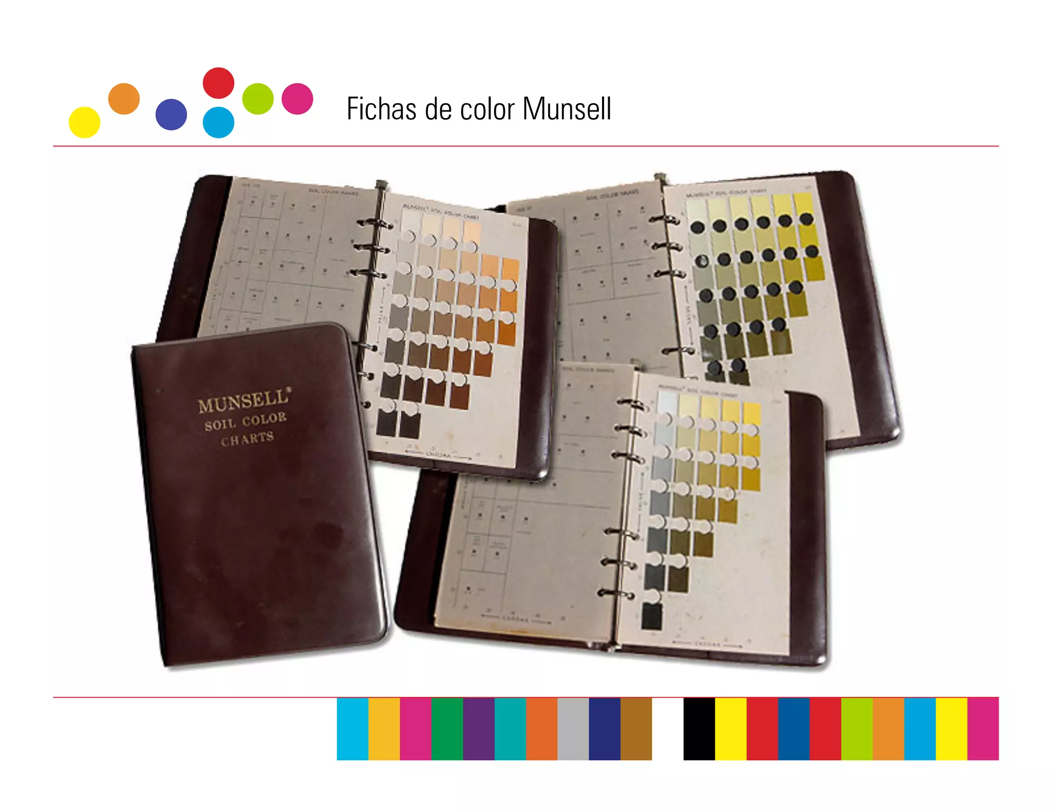 Fichas de color Munsell
 