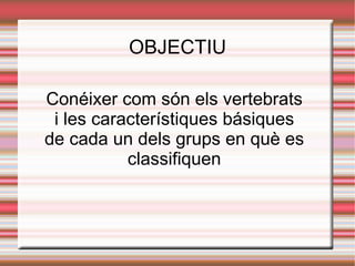 OBJECTIU Conéixer com són els vertebrats i les característiques básiques de cada un dels grups en què es classifiquen 