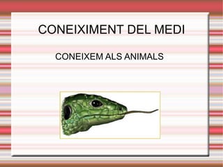 CONEIXIMENT DEL MEDI CONEIXEM ALS ANIMALS 