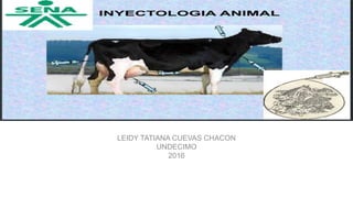 LEIDY TATIANA CUEVAS CHACON
UNDECIMO
2016
 