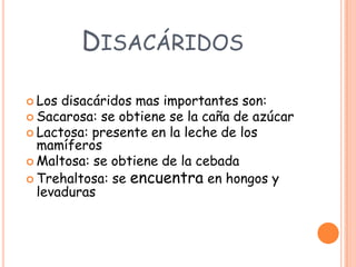 DISACÁRIDOS

 Los disacáridos mas importantes son:
 Sacarosa: se obtiene se la caña de azúcar
 Lactosa: presente en la leche de los
  mamíferos
 Maltosa: se obtiene de la cebada
 Trehaltosa: se encuentra en hongos y
  levaduras
 