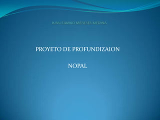 PROYETO DE PROFUNDIZAION

         NOPAL
 