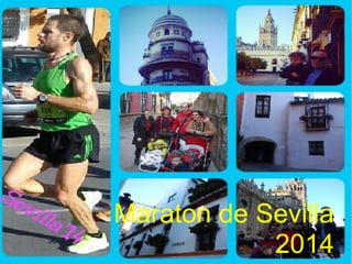 Maraton de Sevilla
2014

 