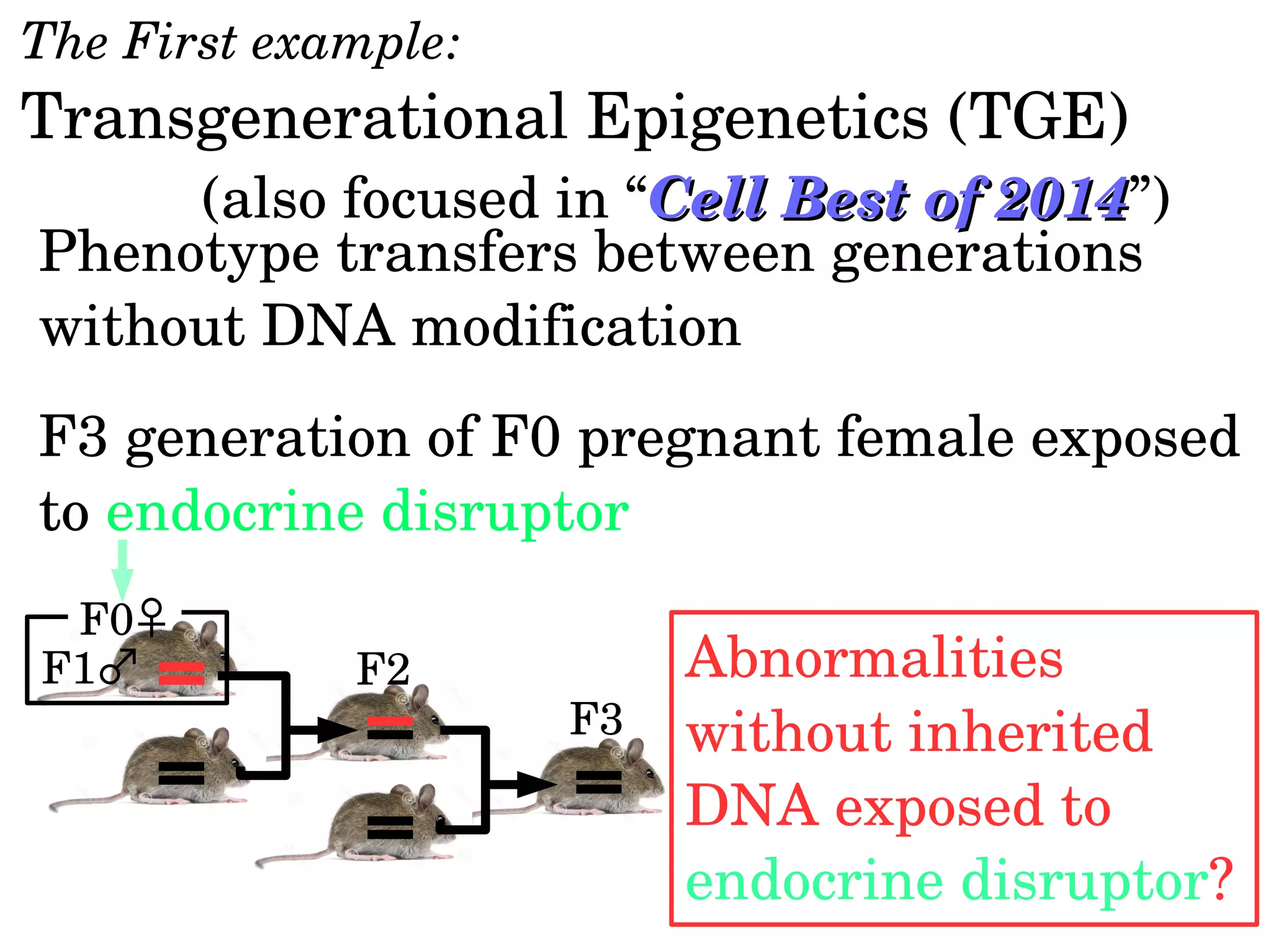 The First example:
Transgenerational Epigenetics (TGE)
Phenotype transfers between generations 
without DNA modification
(also focused in “Cell Best of 2014Cell Best of 2014”)
F3 generation of F0 pregnant female exposed 
to endocrine disruptor
F0♀
F1♂ F2
F3
Abnormalities 
without inherited 
DNA exposed to 
endocrine disruptor?
 