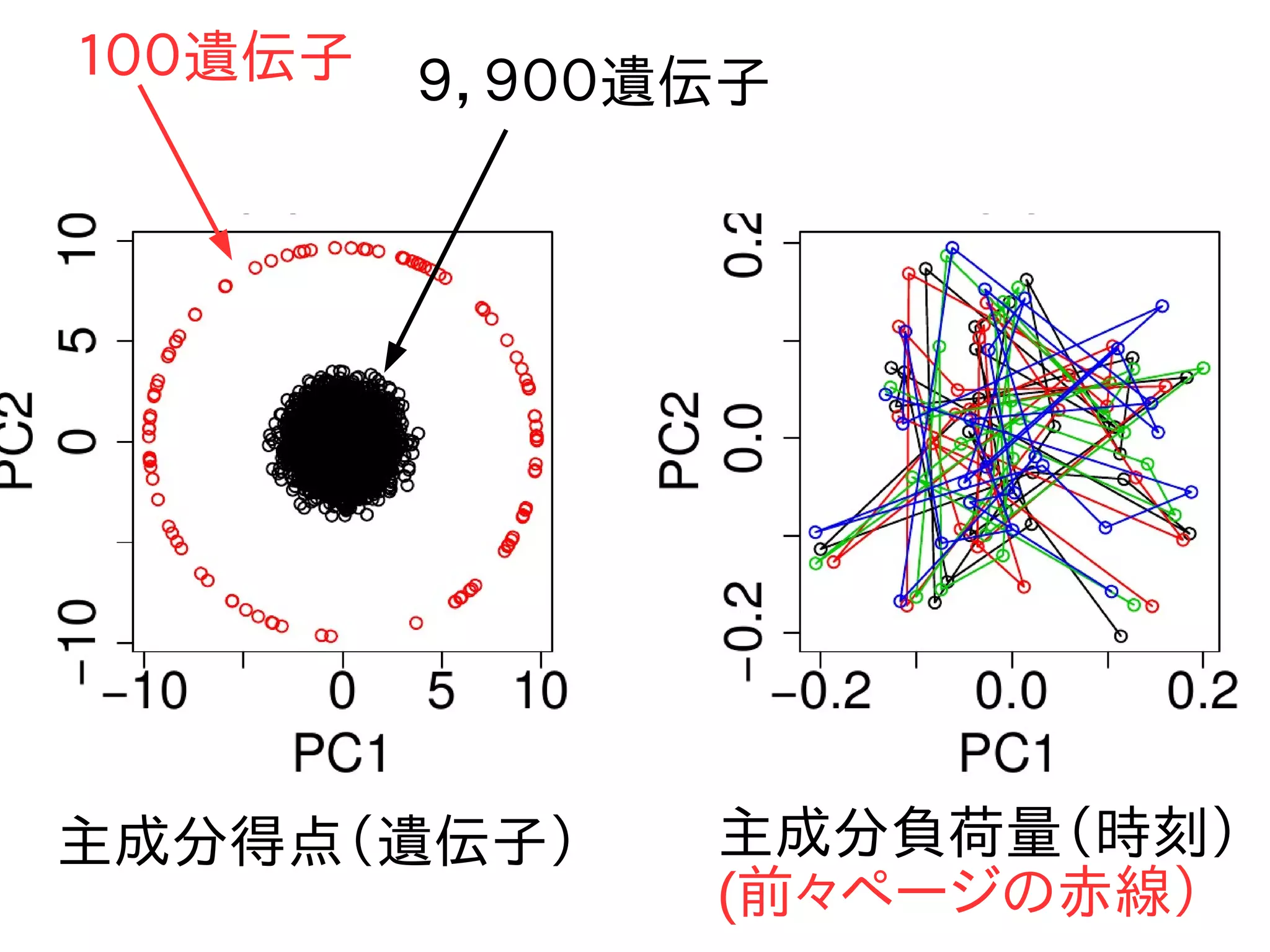 １００遺伝子 ９，９００遺伝子
主成分得点（遺伝子） 主成分負荷量（時刻）
(前々ページの赤線）
 