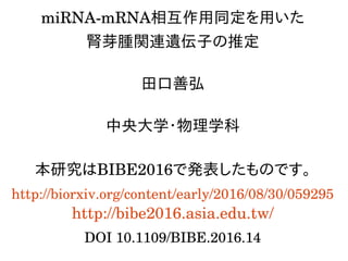 miRNA­mRNA相互作用同定を用いた
腎芽腫関連遺伝子の推定
田口善弘
中央大学・物理学科
本研究はBIBE2016で発表したものです。
http://biorxiv.org/content/early/2016/08/30/059295
http://bibe2016.asia.edu.tw/
DOI 10.1109/BIBE.2016.14
 