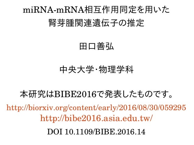 Mirna Mrna相互作用同定を用いた 腎芽腫関連遺伝子の推定