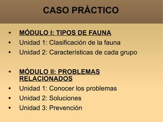 CASO PRÁCTICO MÓDULO I: TIPOS DE FAUNA Unidad 1: Clasificación de la fauna Unidad 2: Características de cada grupo MÓDULO II: PROBLEMAS RELACIONADOS Unidad 1: Conocer los problemas Unidad 2: Soluciones Unidad 3: Prevención 