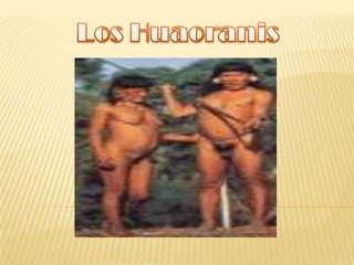 Los Huaoranis 