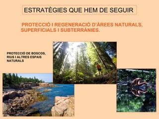 PROTECCIÓ I REGENERACIÓ D’ÀREES NATURALS, SUPERFICIALS I SUBTERRÀNIES. ESTRAT ÈGIES QUE HEM DE SEGUIR  PROTECCI Ó DE BOSCOS,  RIUS I ALTRES ESPAIS  NATURALS 