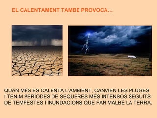 QUAN M ÉS ES CALENTA L’AMBIENT, CANVIEN LES PLUGES  I TENIM PERÍODES DE SEQUERES MÉS INTENSOS SEGUITS  DE TEMPESTES I INUNDACIONS QUE FAN MALBÉ LA TERRA. EL CALENTAMENT TAMB É  PROVOCA… 