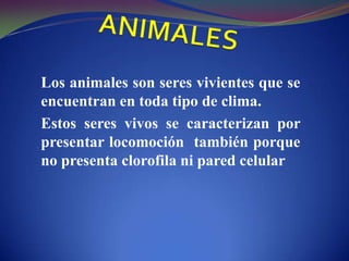 ANIMALES Los animales son seres vivientes que se encuentran en toda tipo de clima. Estos seres vivos se caracterizan por presentar locomoción  también porque no presenta clorofila ni pared celular 