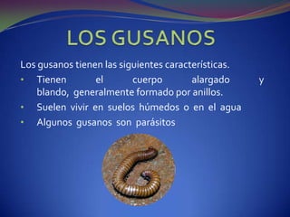 Su temperatura corporal es constante