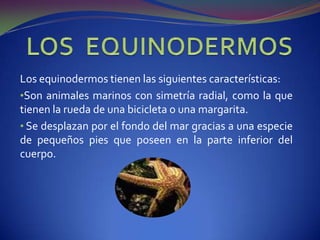 Su respiración es pulmonar LAS AVES Su cuerpo esta cubierto de plumas