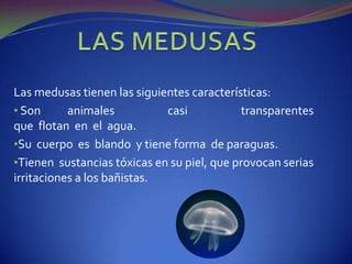 Sus extremidades anteriores tienen forma de alas