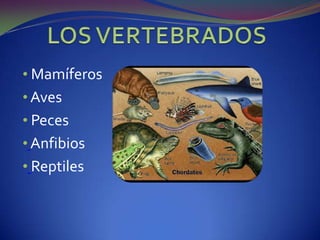 Pertenecen a uno de los 5 reinos de la naturalezaORIGENPara explicar su origen han surgido varias teorías entre las cuales tenemos:TEORÍA COLONIAL