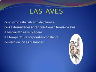 TEORÍA DE LA CELULARIZACIÓN CLASIFICACIÓN Vertebrados