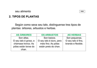 seu alimento
2. TIPOS DE PLANTAS
Según como sexa seu talo, distínguense tres tipos de
plantas: árbores, arbustos e herbas.
AS ÁRBORES OS ARBUSTOS AS HERBAS
Son altas.
O seu talo é groso, e
chámase tronco. As
pólas están lonxe do
chan.
Son baixos.
O seu talo é duro, pero
máis fino. As pólas
están preto do chan.
Son pequenas.
O seu talo é fino,
brando e flexible.
RAÍZ
 