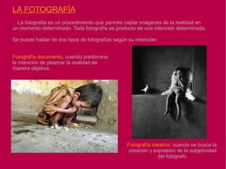 soporte se considera primer término. Según 