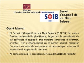 Opció laboral: El Servei d'Ocupació de les Illes Balears (S.O.I.B.) té, com a finalitat primordial,la planificació, la gestió i la coordinació de les polítiques d'ocupació; amb funcions concretes d'informar, orientar i fer d'intermediaris en el mercat laboral, fomentar l'ocupació en totes els seus vessants i desenvolupar la formació professional ocupacional i contínua. Al nostre municipi li correspon l’oficina del SOIB de Felanitx Servei d’ocupació de les Illes Balears. 