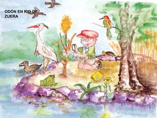 ODÓN EN RIO DE ZUERA 