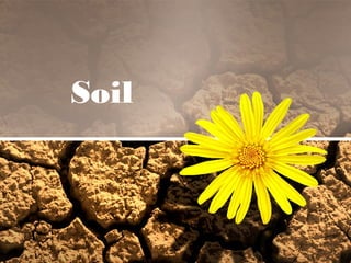 Soil
 