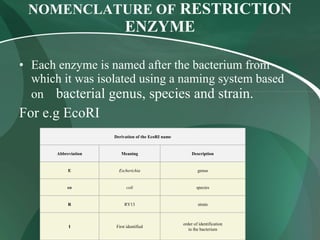 NOMENCLATURE OF  RESTRICTION ENZYME Each enzyme is named after the bacterium from which it was isolated using a naming system based on  bacterial genus, species and strain. For e.g EcoRI order of identification in the bacterium First identified I strain RY13 R species coli co genus Escherichia E Description Meaning Abbreviation Derivation of the EcoRI name 