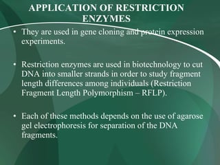APPLICATION OF RESTRICTION ENZYMES They are used in gene cloning and protein expression experiments. Restriction enzymes are used in biotechnology to cut DNA into smaller strands in order to study fragment length differences among individuals (Restriction Fragment Length Polymorphism – RFLP). Each of these methods depends on the use of agarose gel electrophoresis for separation of the DNA fragments.  