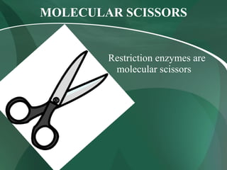 MOLECULAR SCISSORS
Restriction enzymes are
molecular scissors
 