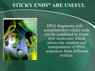 “STICKY ENDS” ARE USEFUL
DNA fragments with
complimentary sticky ends
can be combined to create
new molecules which
allows the creation and
manipulation of DNA
sequences from different
sources.
 