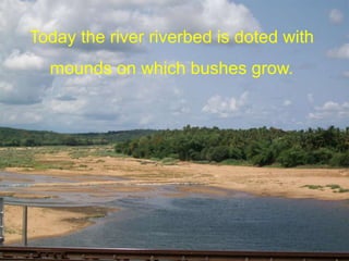 Today the river riverbed is doted with
mounds on which bushes grow.
 