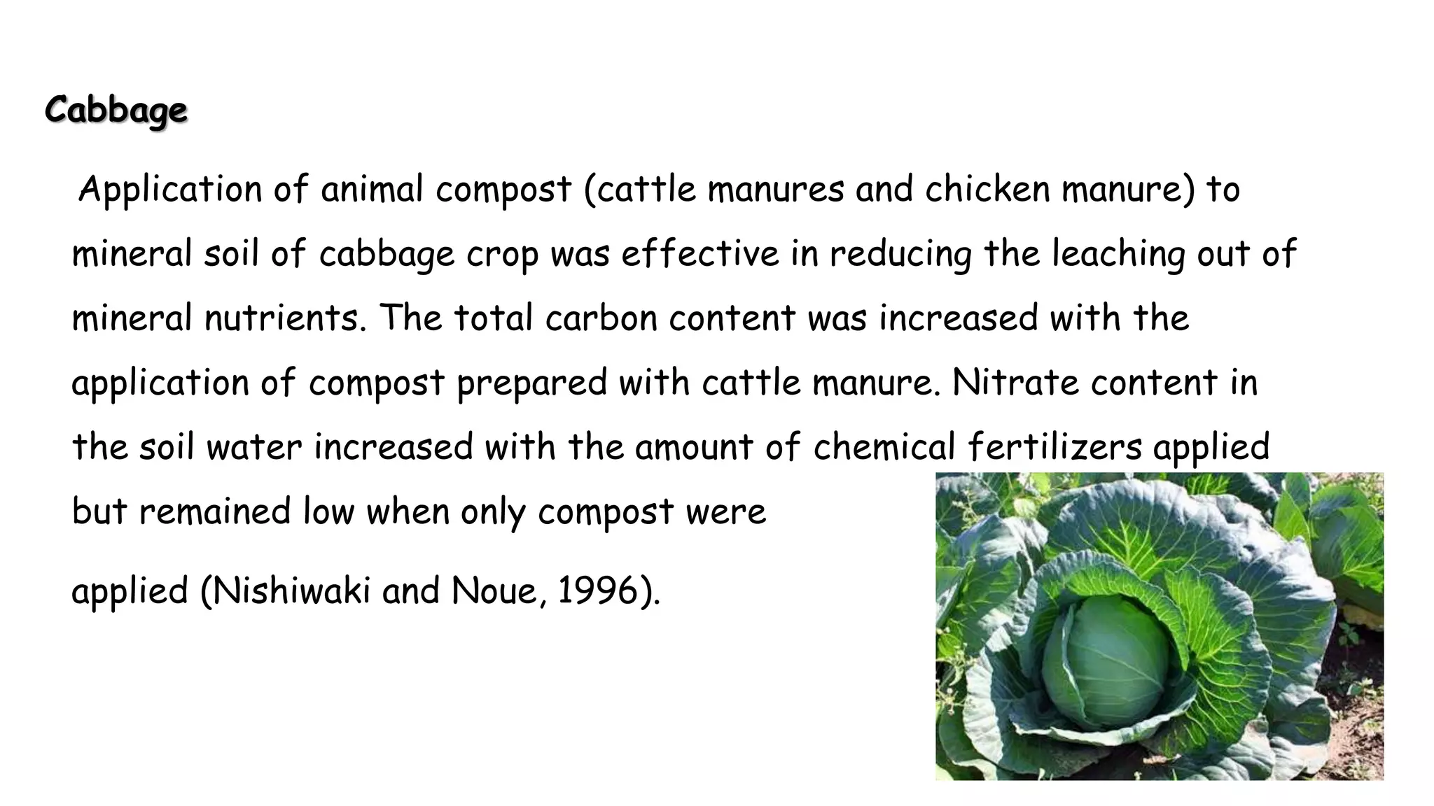 Cabbage
Application of animal compost (cattle manures and chicken manure) to
mineral soil of cabbage crop was effective in reducing the leaching out of
mineral nutrients. The total carbon content was increased with the
application of compost prepared with cattle manure. Nitrate content in
the soil water increased with the amount of chemical fertilizers applied
but remained low when only compost were
applied (Nishiwaki and Noue, 1996).
 