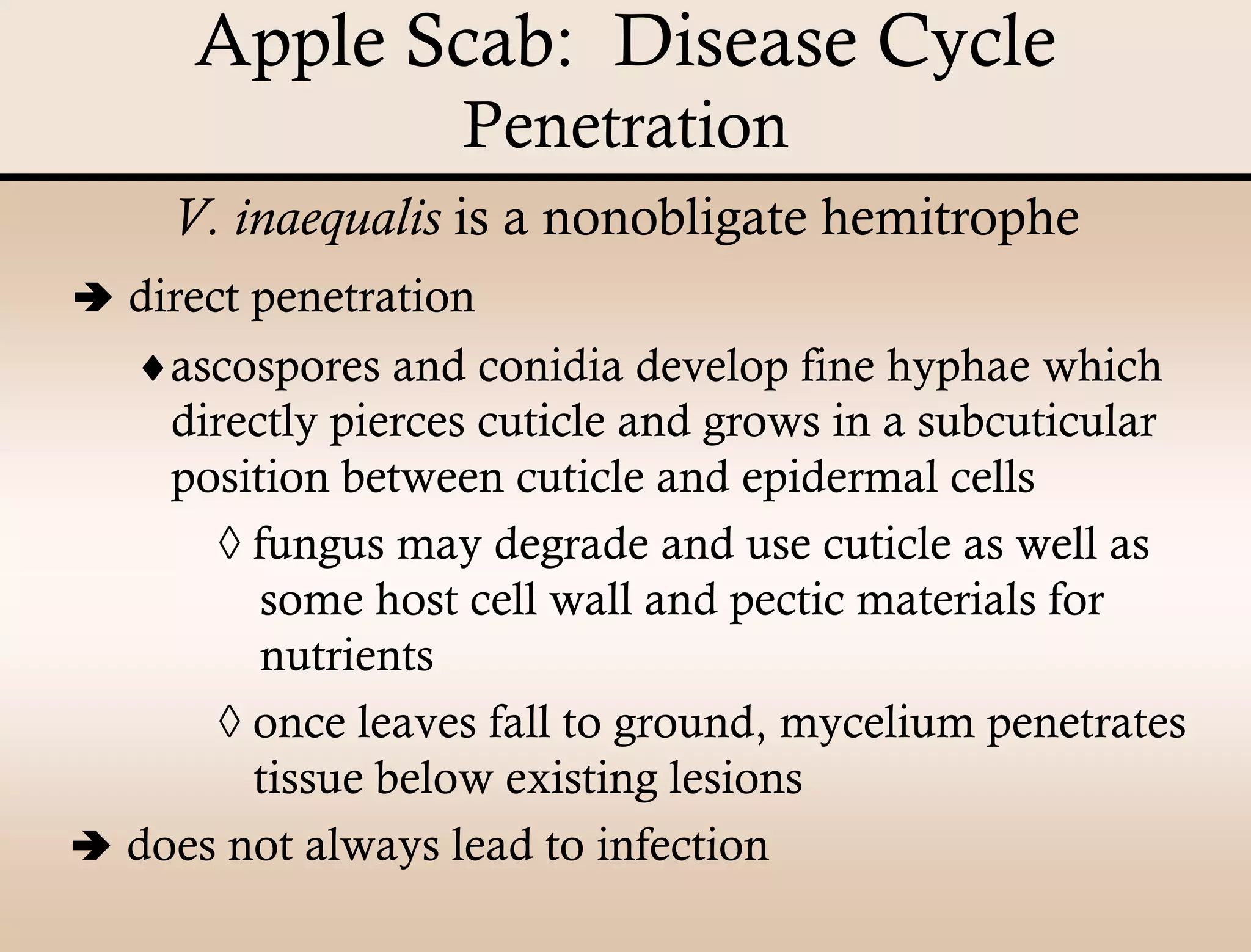 Apple Scab Presentation | PDF