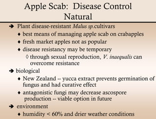 Apple Scab Presentation | PDF