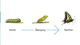 Vorher NachherÜbergang
 