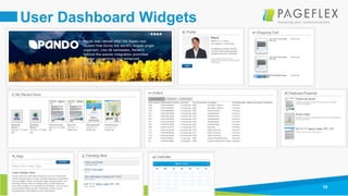 10
User Dashboard Widgets
 