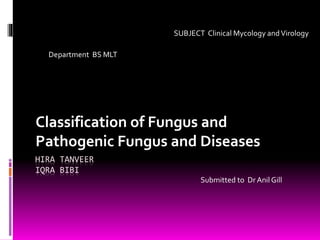 HIRA TANVEER
IQRA BIBI
Classification of Fungus and
Pathogenic Fungus and Diseases
Department BS MLT
SUBJECT Clinical Mycology andVirology
Submitted to Dr Anil Gill
 