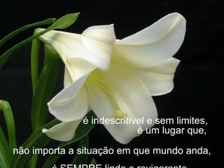 é indescritível e sem limites,    é um lugar que,  não importa a situação em que mundo anda,   é SEMPRE lindo e revigorante. 